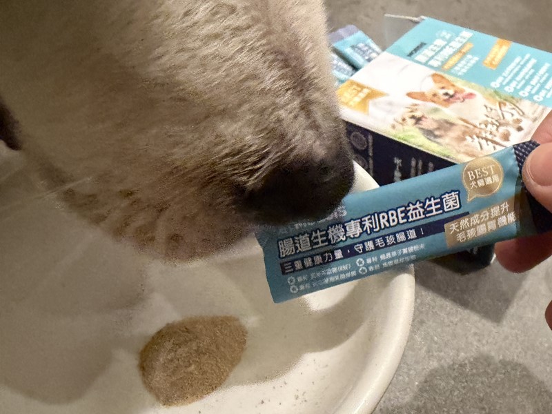 女人知己試用大隊,口碑行銷,部落客行銷,Moegis萌吉 腸道生機專利RBE益生菌,寵物益生菌,專利RBE益生元,專利蔬果酵素,小分子胜肽,藍藻粉,維持免疫力,幫助維持消化道機能,維持正常食慾,改變細菌叢生態,腸胃保健,犬貓適用